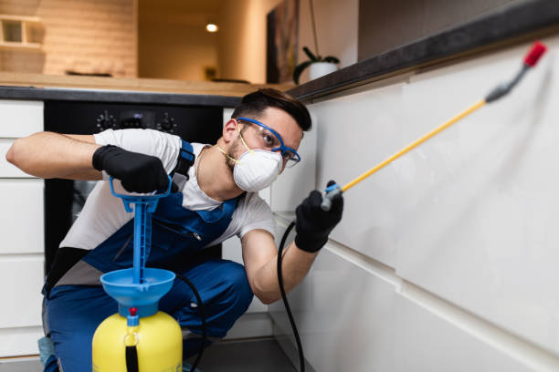 Best Flea Control Services  in Hudson, IL
