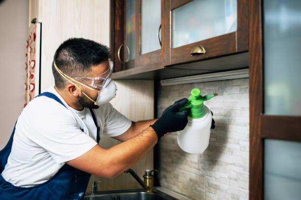 Best Pest Control Near Me in Hudson, IL