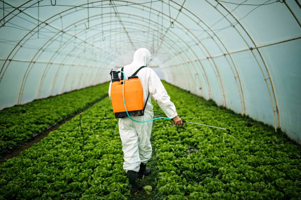 Best Best Pest Control Near Me  in Hudson, IL