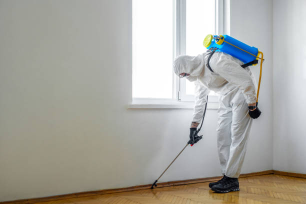 Best Exterminator Services  in Hudson, IL