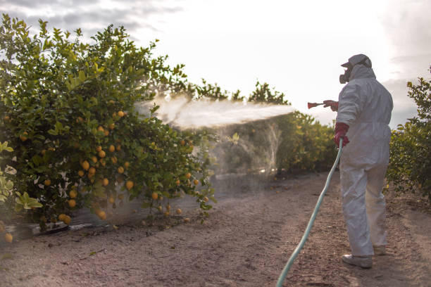 Reliable Hudson, IL Pest Control Solutions