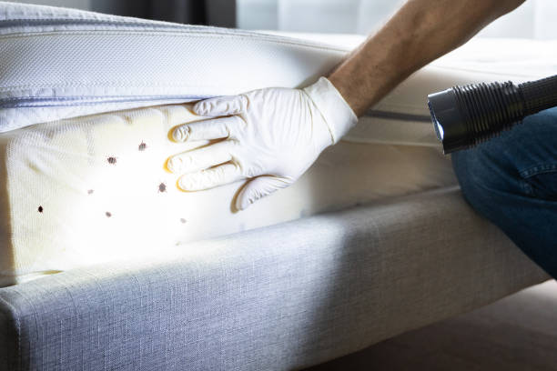 Best Best Pest Control Near Me  in Hudson, IL