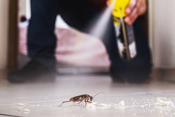 Best Best Pest Control Companies  in Hudson, IL